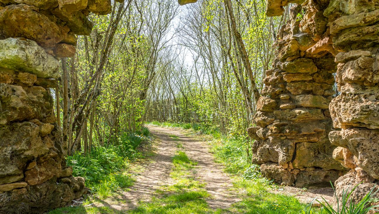 L'Allée des noisetiers au printemps (© Julien Gazeau)