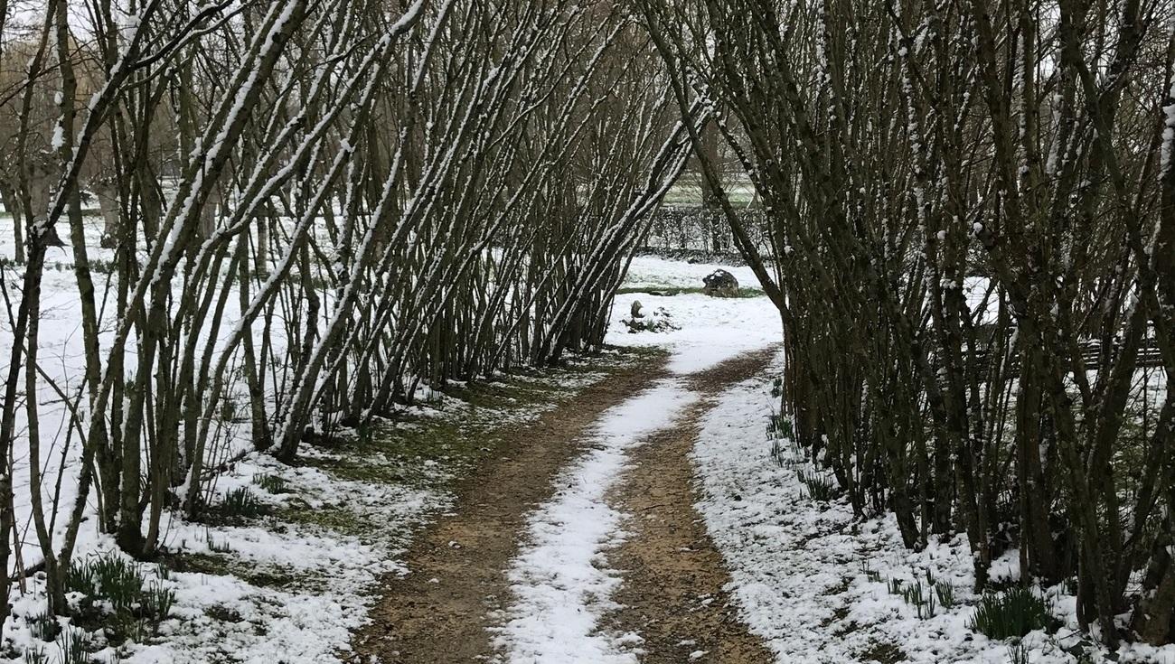 L'Allée des noisetiers en hiver (© Bruno)