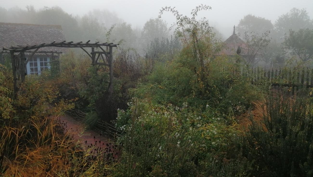 Le Jardin américain en automne  (© Florian Hermouet)