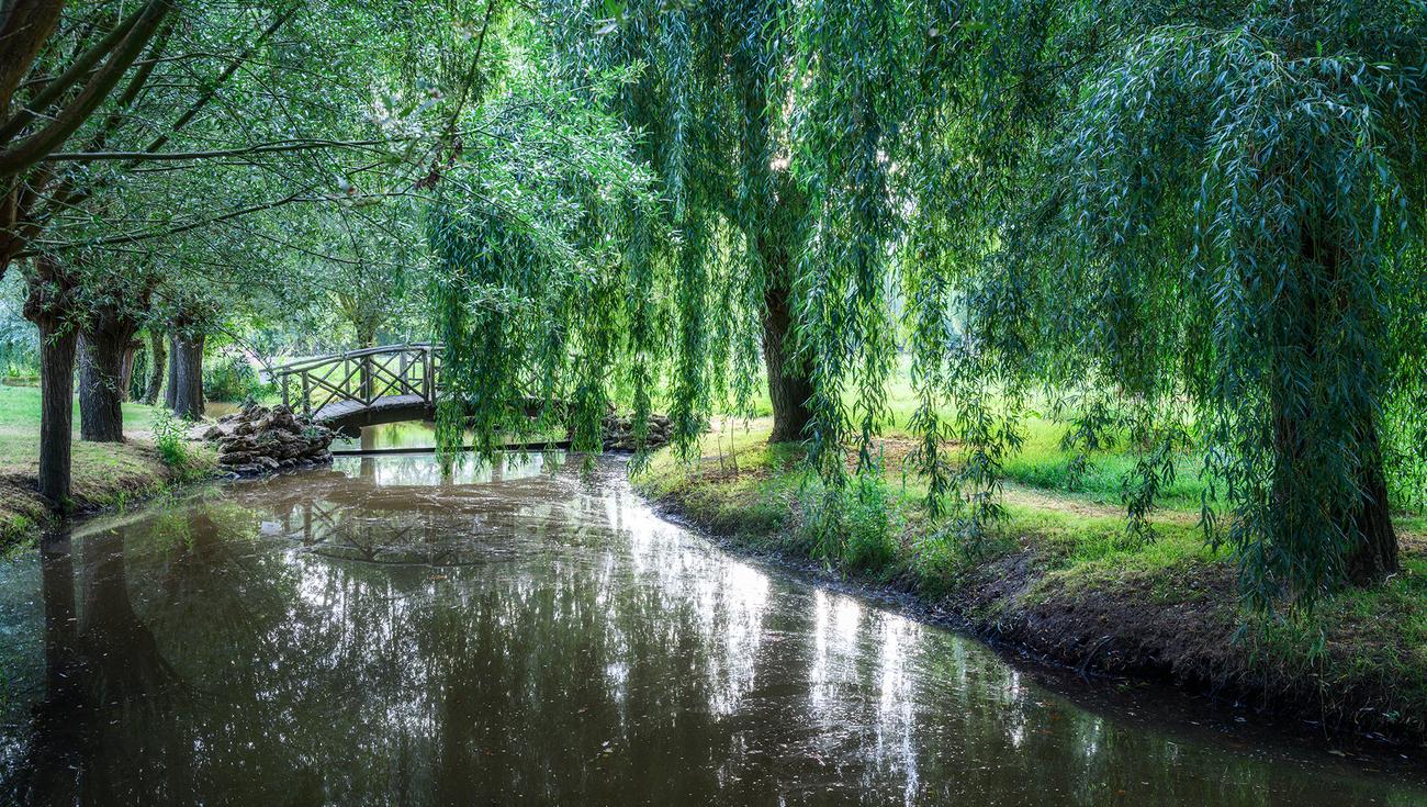 Le Pont Chinois (© Lionel Hug)