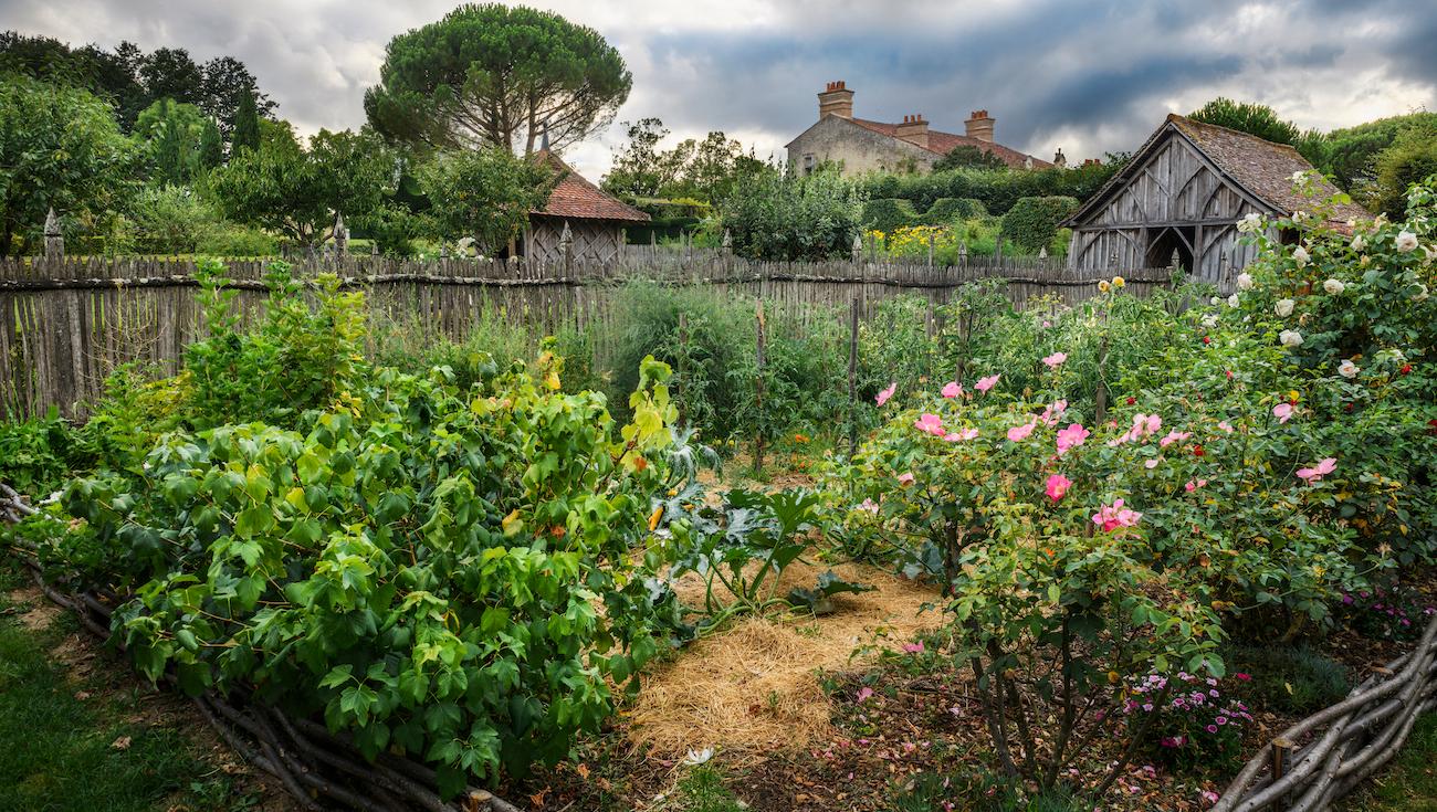 Le Potager et la Serre