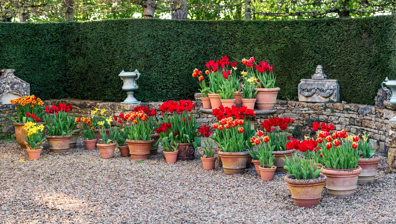 Le Jardin rouge au printemps (© Lionel Hug)