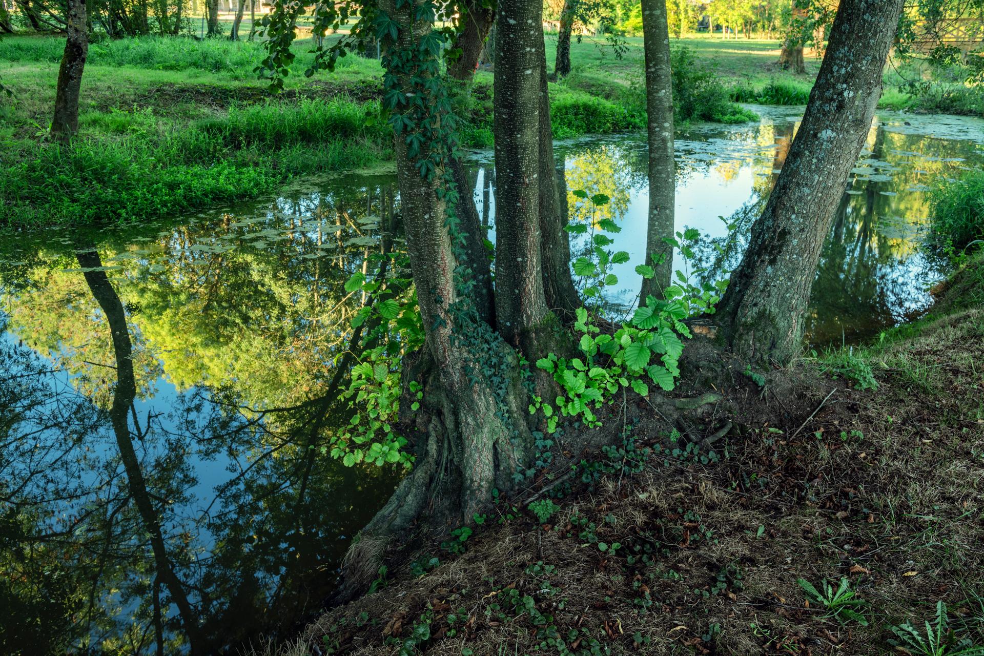 Jardin des îles