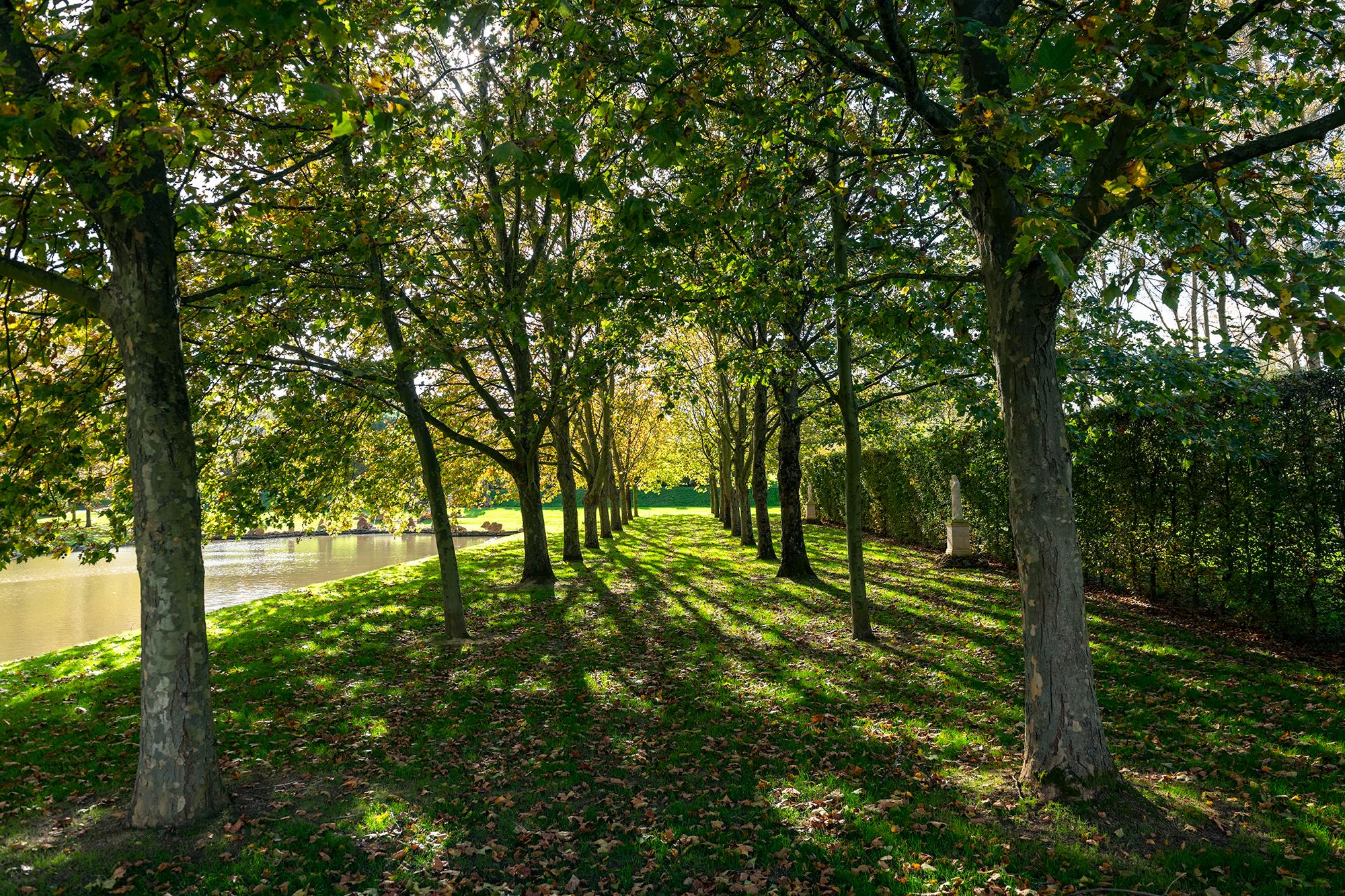 2020-Jardins-William-Christie-_DSC7360_DxO-Lionel-Hug