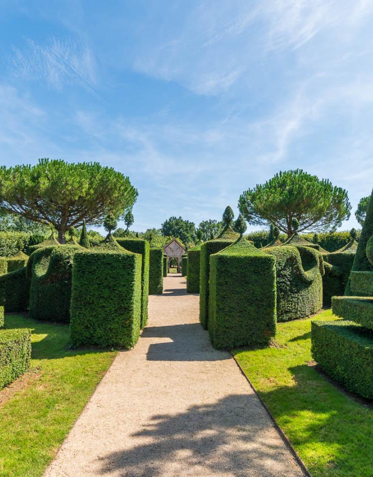 Festival Jardins William Christie 2019 4091 Julien Gazeau