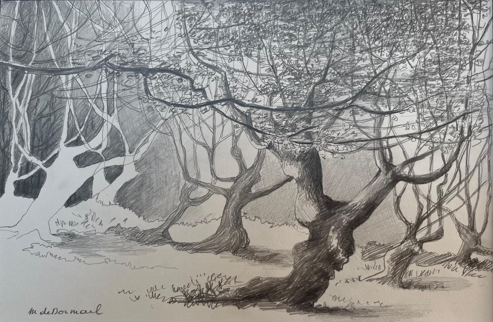 Atelier de dessin dans les Jardins de William Christie